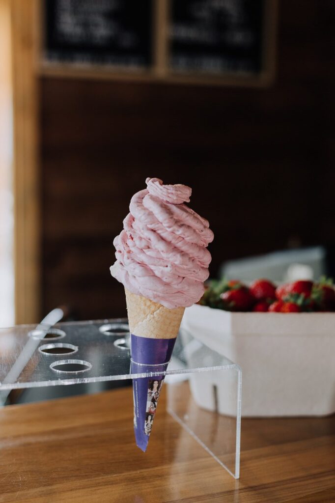 Cabin for sale for selling real fruit ice cream