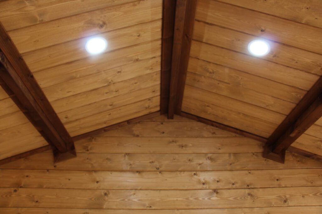 Lights in a Sleepout