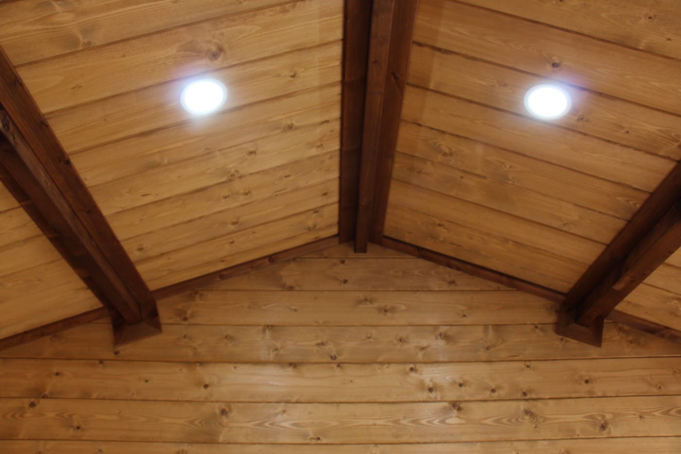 Lights in a Sleepout