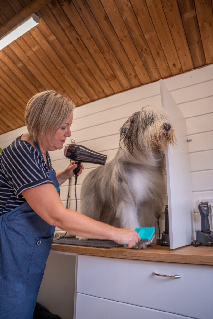 Dog grooming business run from a SheShed