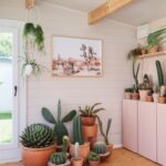 inside of white coastal cabin used as cactus shack business
