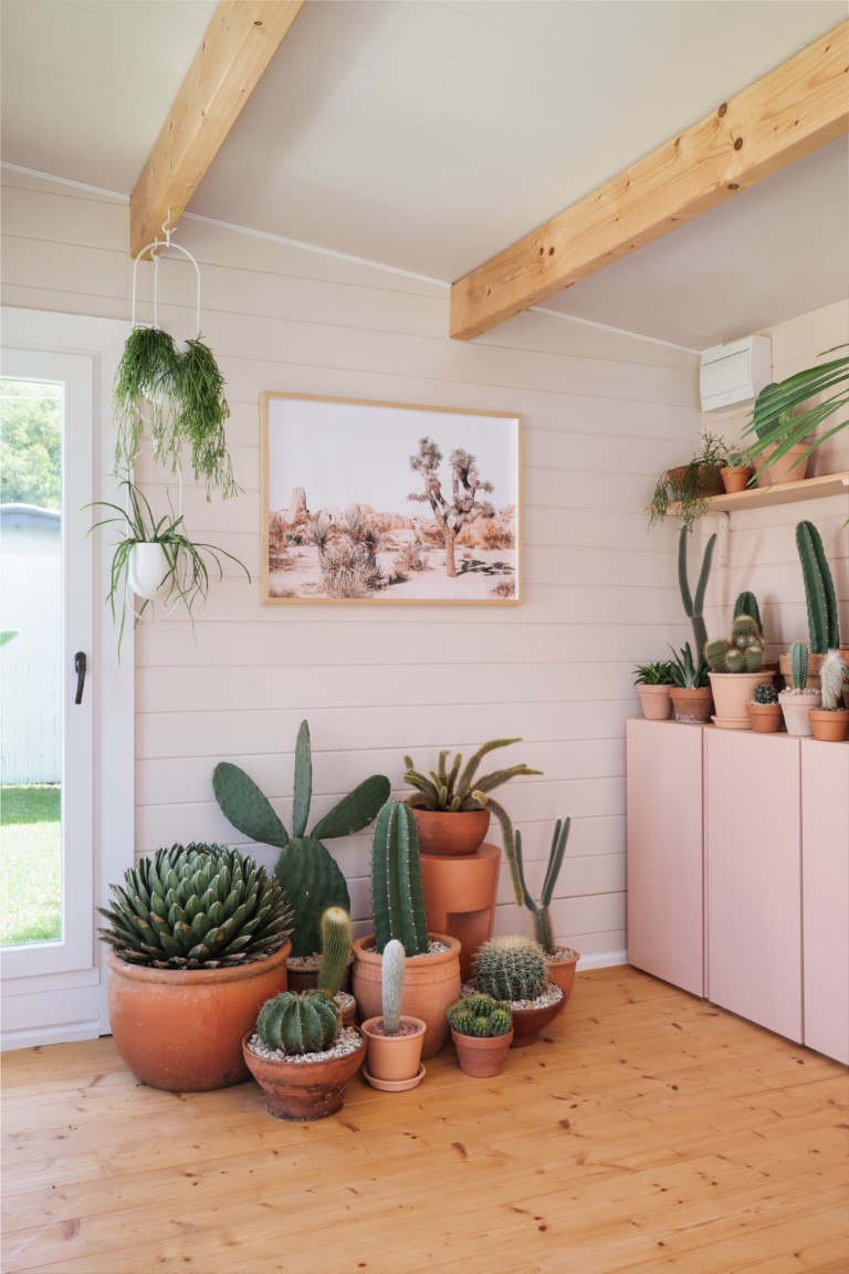 inside of white coastal cabin used as cactus shack business